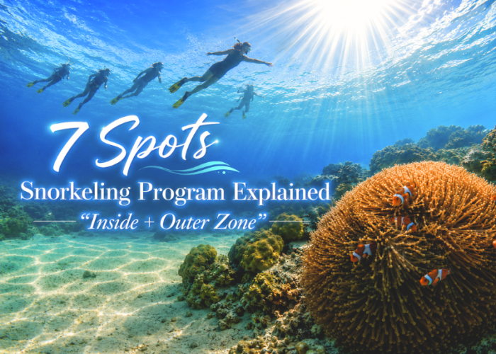 Koh Lipe Inside + Outer Zone Snorkeling Trip
